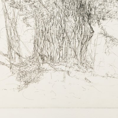 Strichätzung - 52 x 41 cm