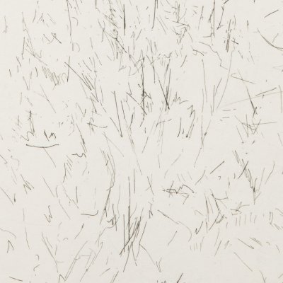 Strichätzung - 21 x 26 cm